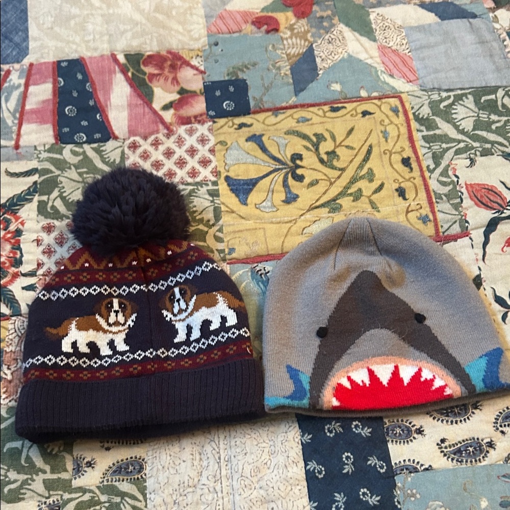 Set of Two Fun Knit Beanies
